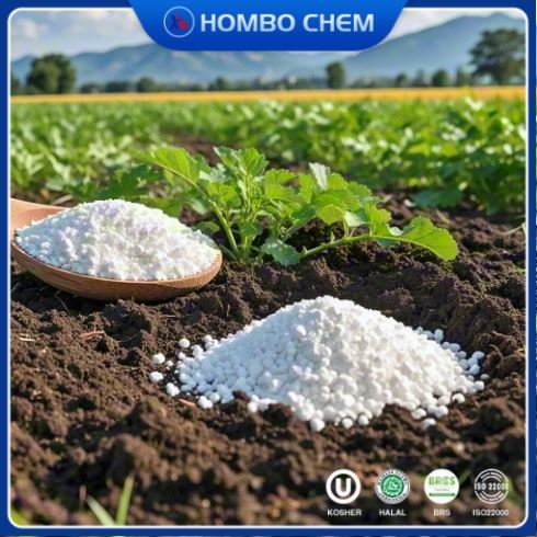 Fosfato de monopotasio (MKP) 98% Fertilizante que aumenta el crecimiento, la calidad y la resistencia de los cultivos